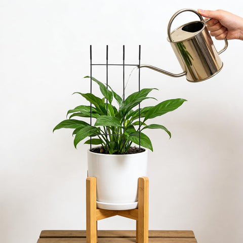 Berallo versatile for indoors or on balconies, easy to move