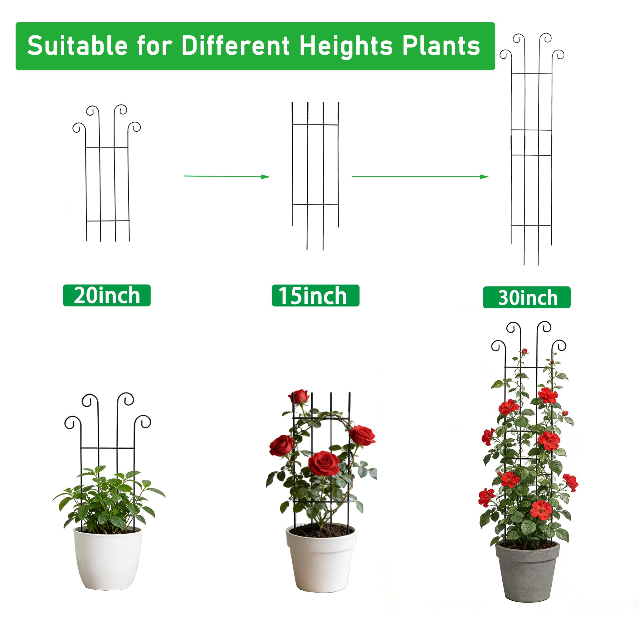 Berallo supports ivy pothos hoya monstera and other climbers for healthy growth