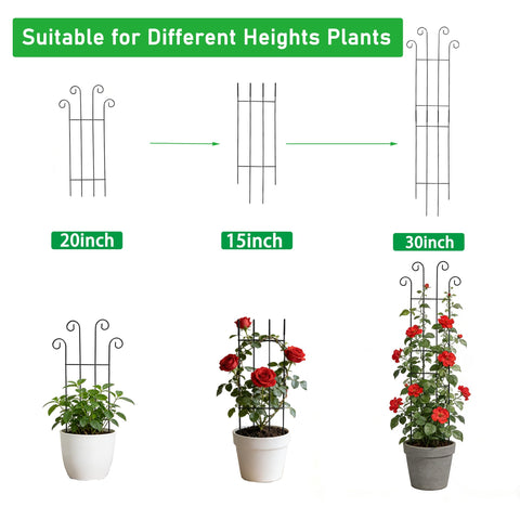 Berallo supports ivy pothos hoya monstera and other climbers for healthy growth