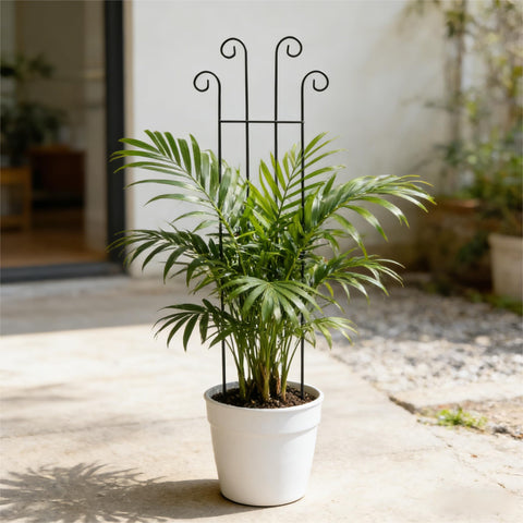 Berallo rust-proof metal construction resists weather for year-round indoor outdoor use