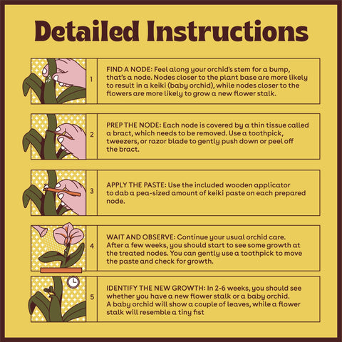 Berkland kit includes paste, instructions, and wooden applicators for easy use.