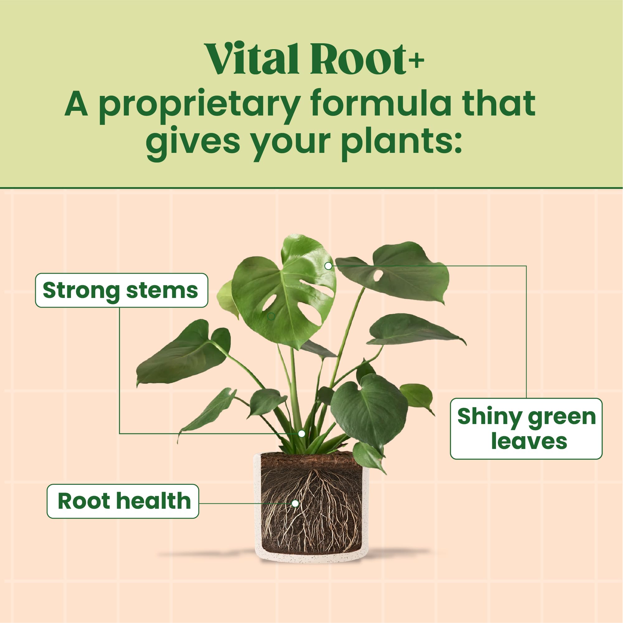 Berkland Root Supplement promotes stronger roots and sturdier stems for thriving plants.