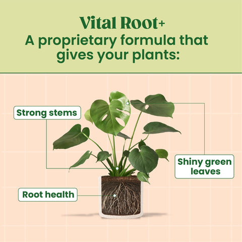 Berkland Root Supplement promotes stronger roots and sturdier stems for thriving plants.