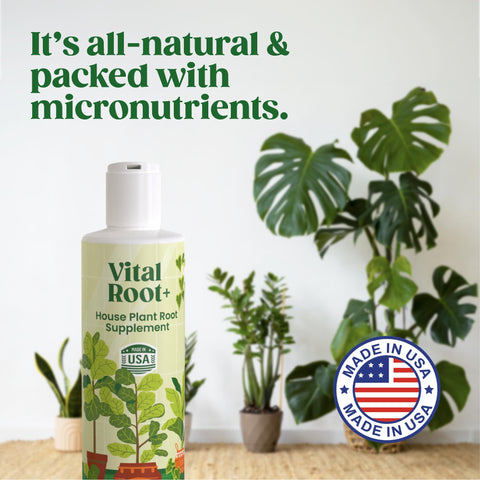 Berkland Root Supplement added during watering for quick root support.