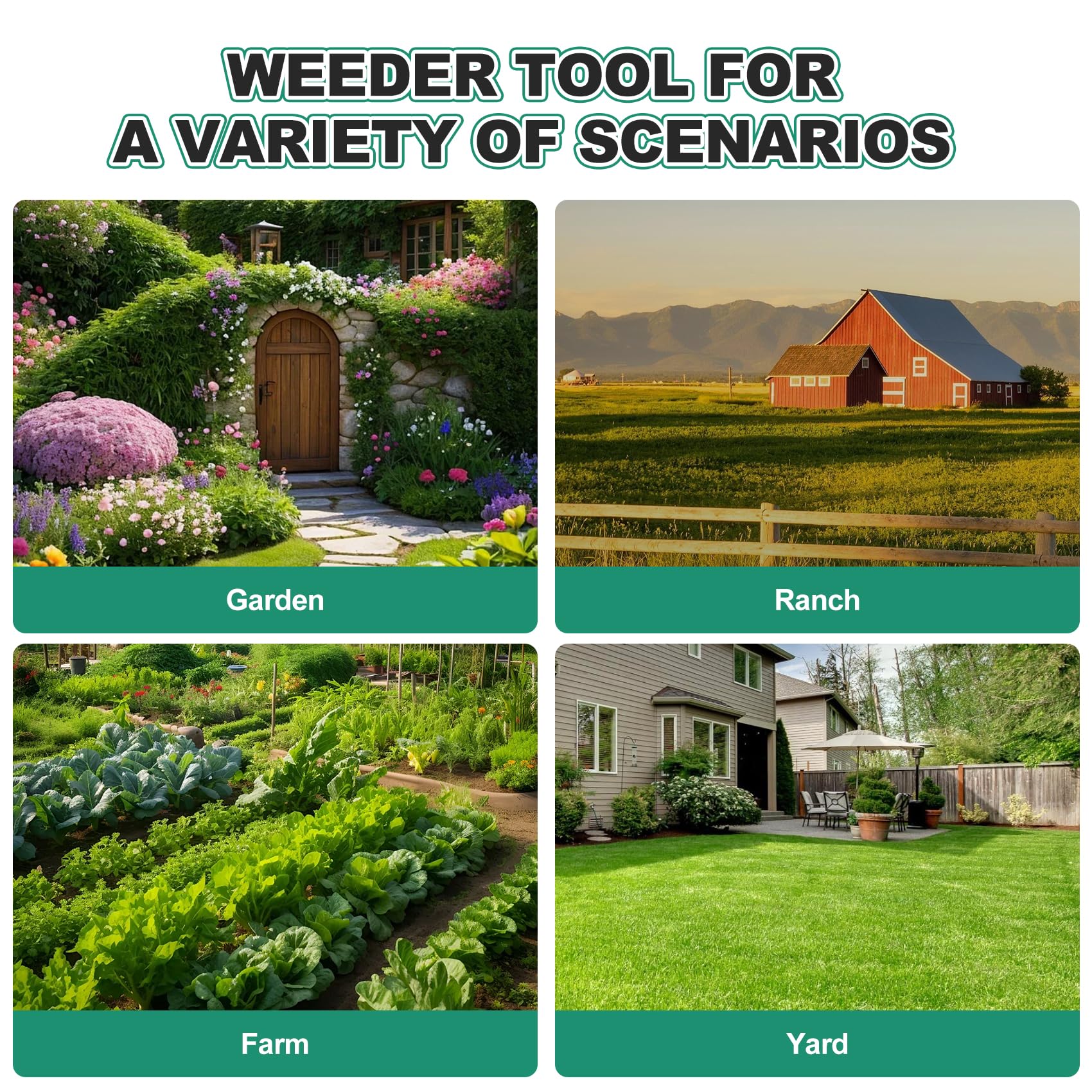 Berry&Bird multi-use garden hoe aiding weed removal, digging, and edging.