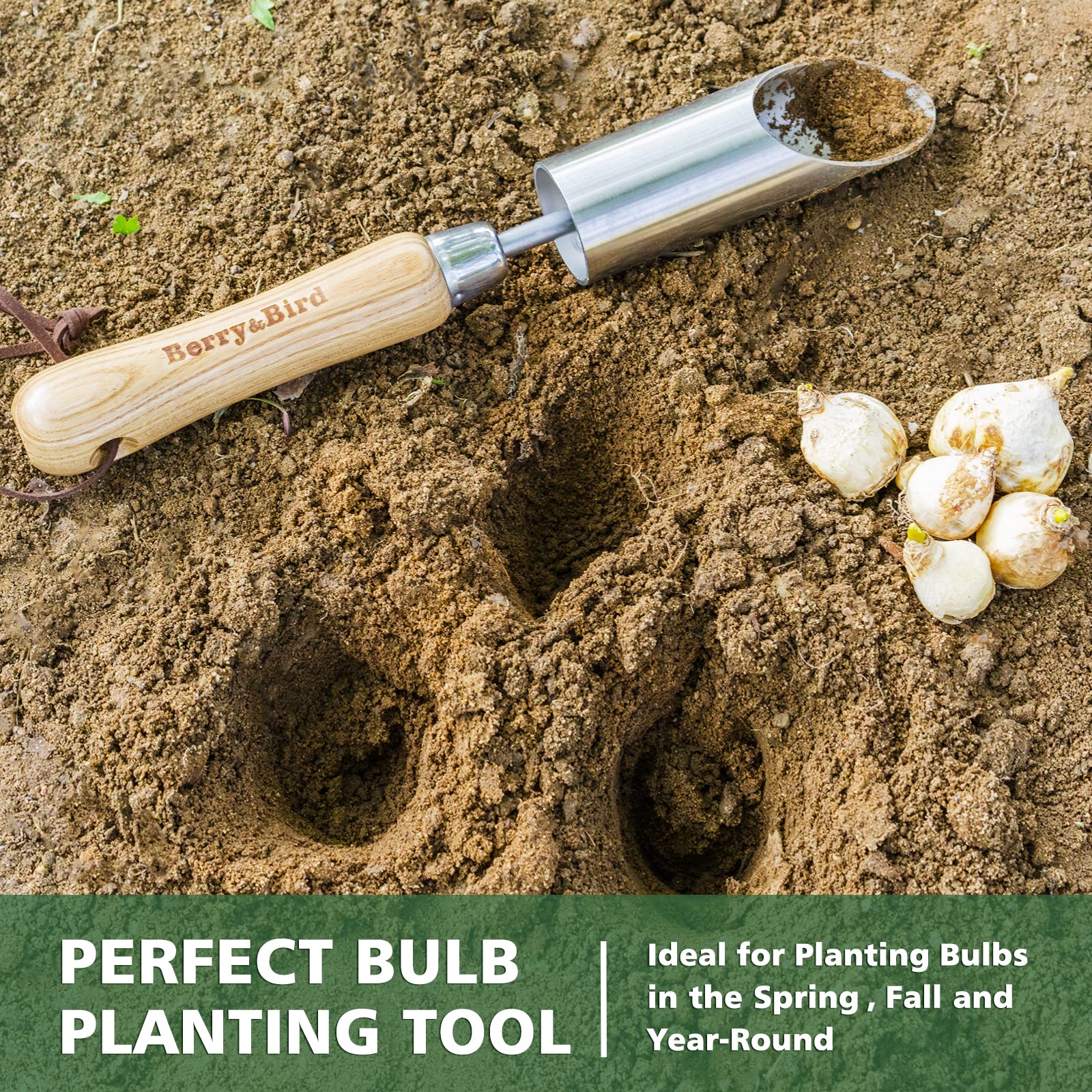 Berry&Bird multi-season tool supports planting tulips, daffodils, lilies with consistent depth.