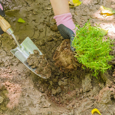 Berry&Bird trowel hanging view shows convenient storage hole for quick access