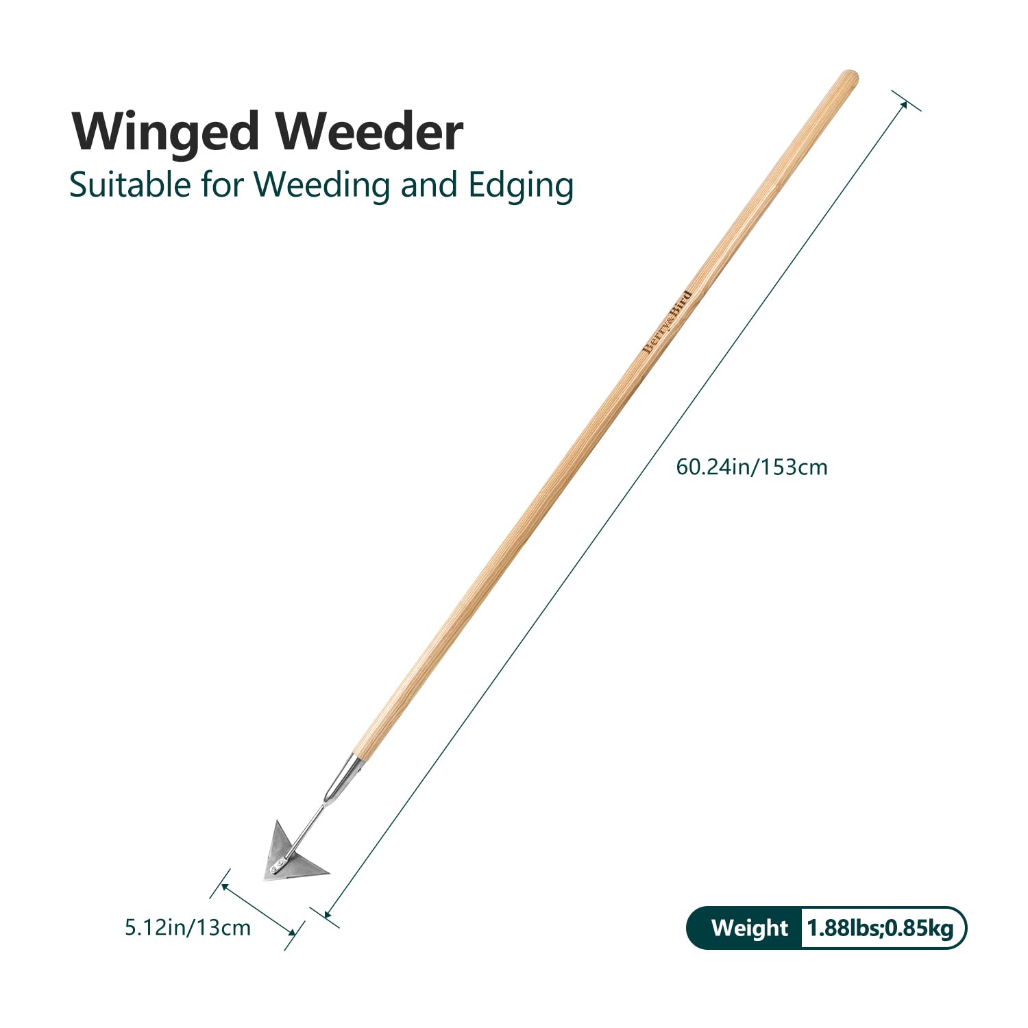 Berry&Bird winged weeder used between plants to remove weeds quickly.