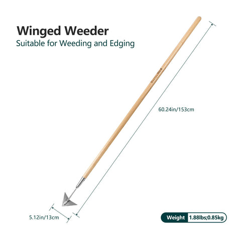 Berry&Bird winged weeder used between plants to remove weeds quickly.