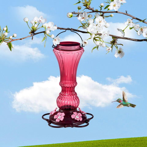 Beserie hummingbird feeder red translucent bottle improves nectar visibility and appeal.