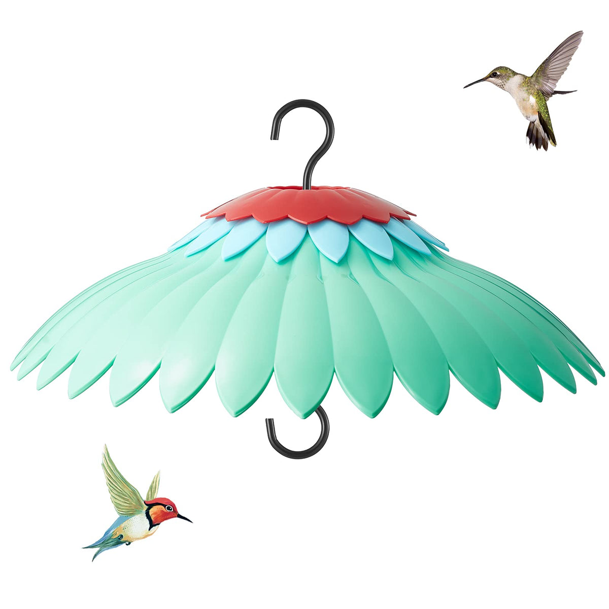 Beserie Squirrel Baffle on a hanging feeder with a green dome protects seeds and attracts hummingbirds.