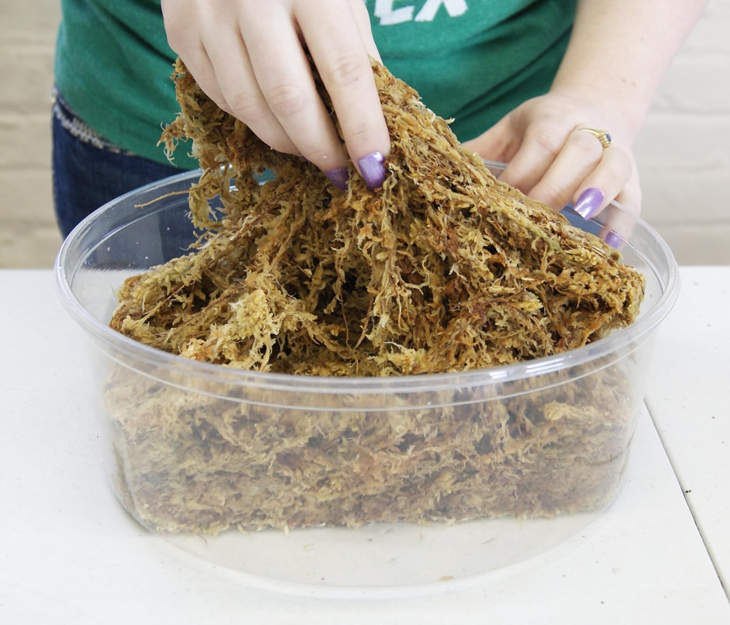 Besgrow Spagmoss loose moss in bag, ready for quick potting.