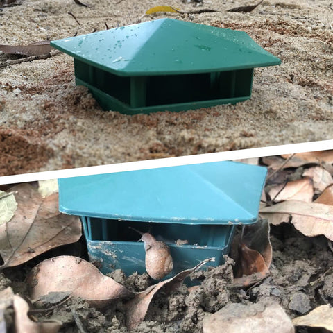 Beslands green plastic box with dimension note for precise sizing.