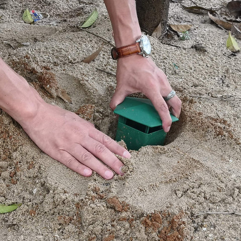 Beslands green plastic box in soil pit demonstrating garden placement.