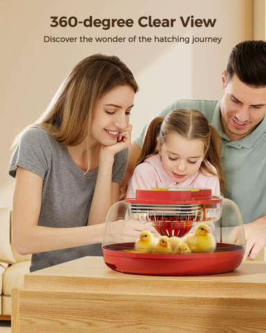 Besly backyard-hatchery-setup enables simple, reliable home incubation.