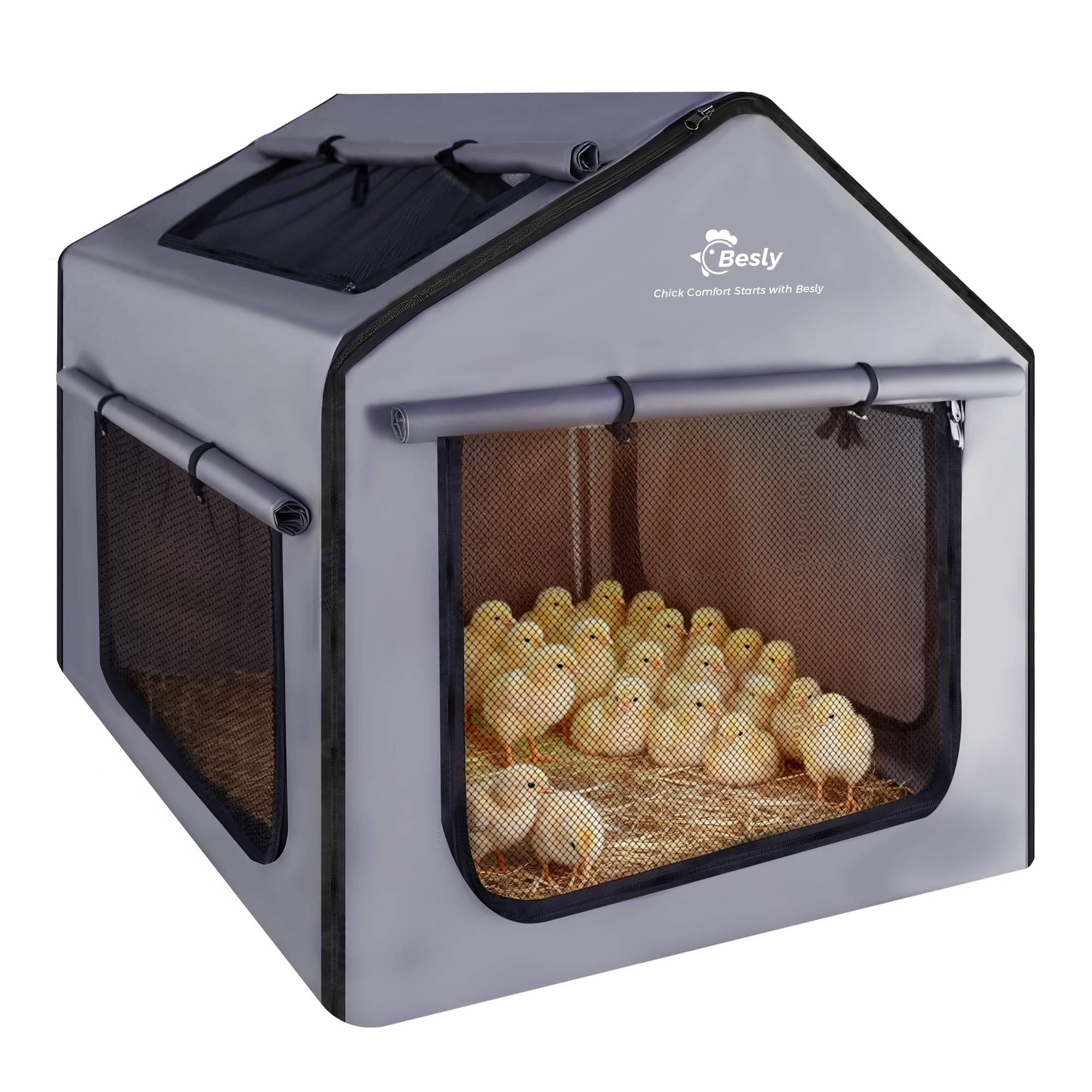Besly Brooder Box 29x29 setup for spacious chick brooding and comfort