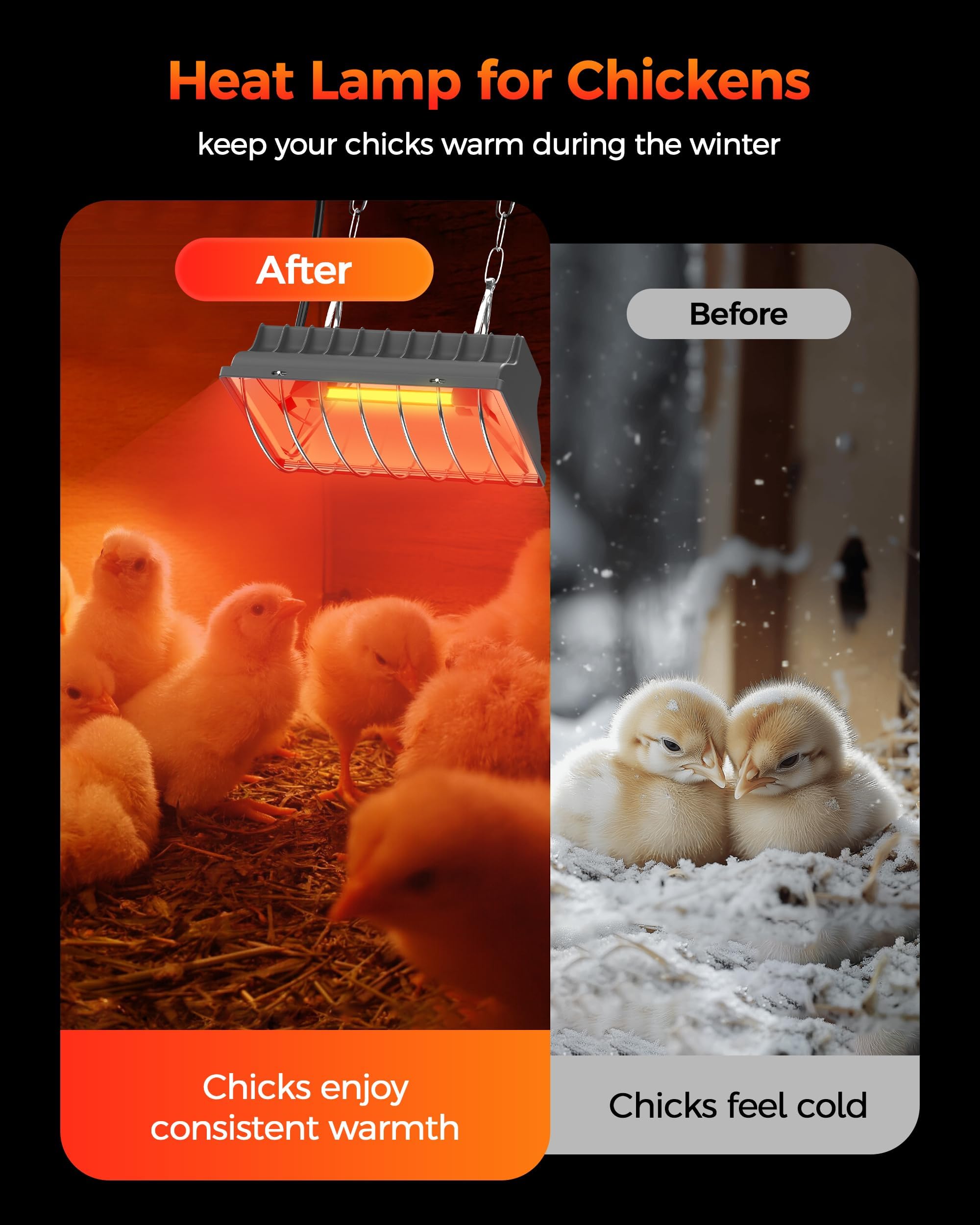 Besly chicken heater keeping chicks cozy in a brooders