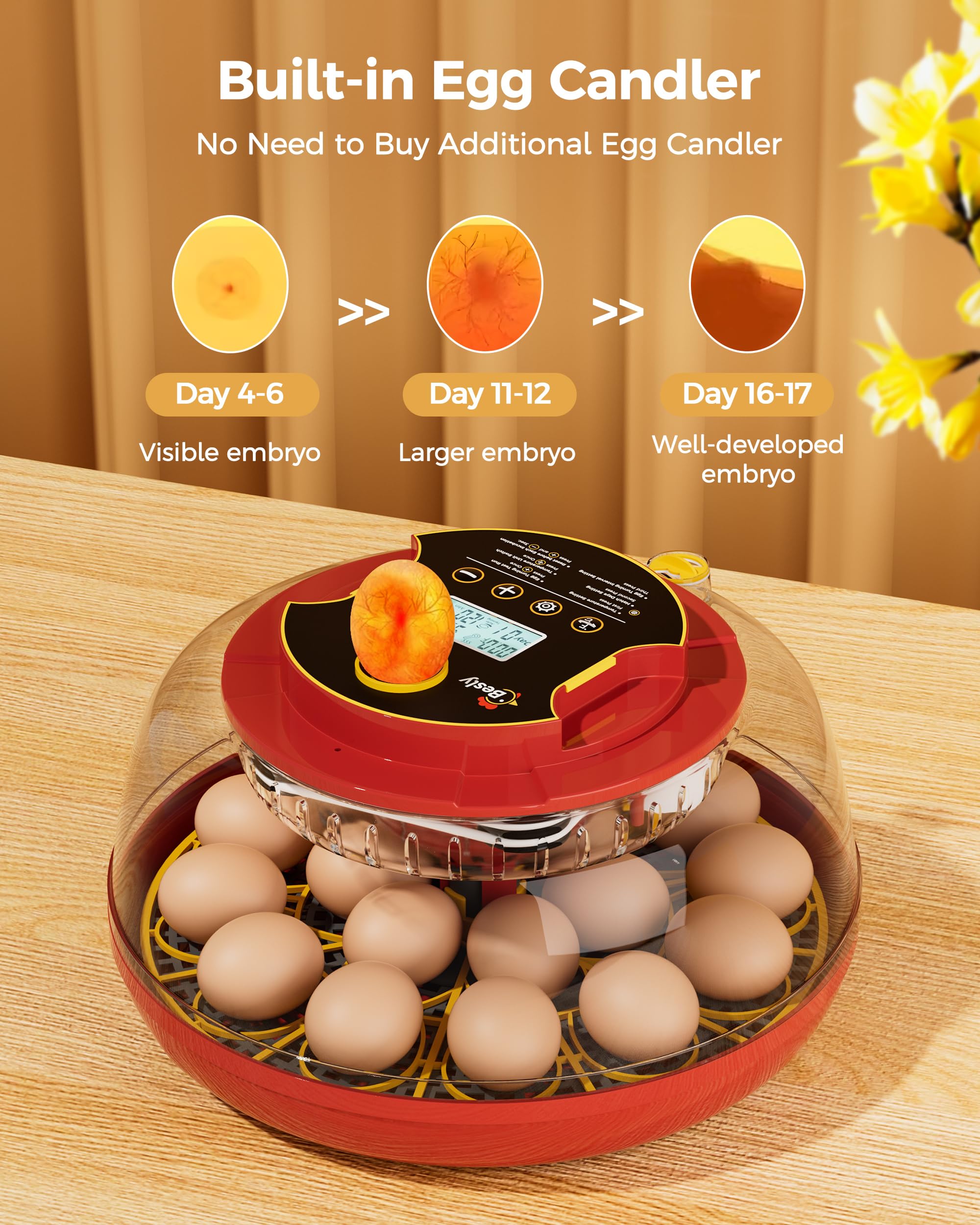 Besly compact-energy-efficient-design saves space while maintaining hatch quality.