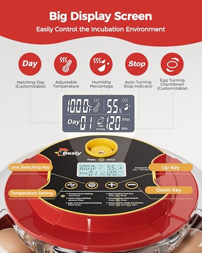 Besly Egg Incubator automatic-turning supports stress-free hatch cycles at home.