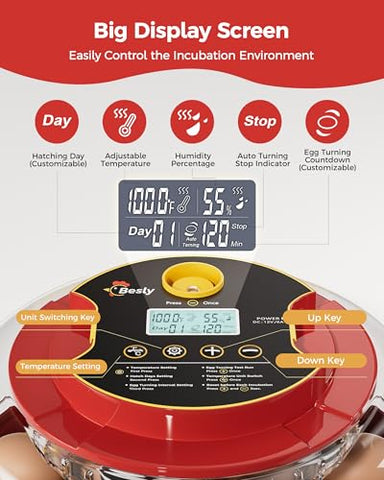 Besly Egg Incubator automatic-turning supports stress-free hatch cycles at home.