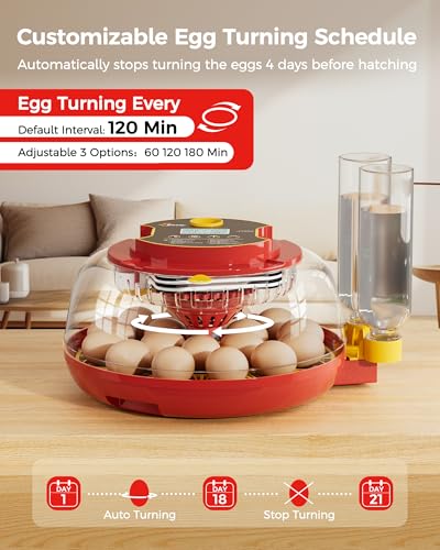 Besly humidity-control-display allows stable moisture management during incubation.