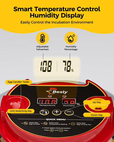 Besly incubator auto-rotation cradle gently turning eggs for natural incubation.