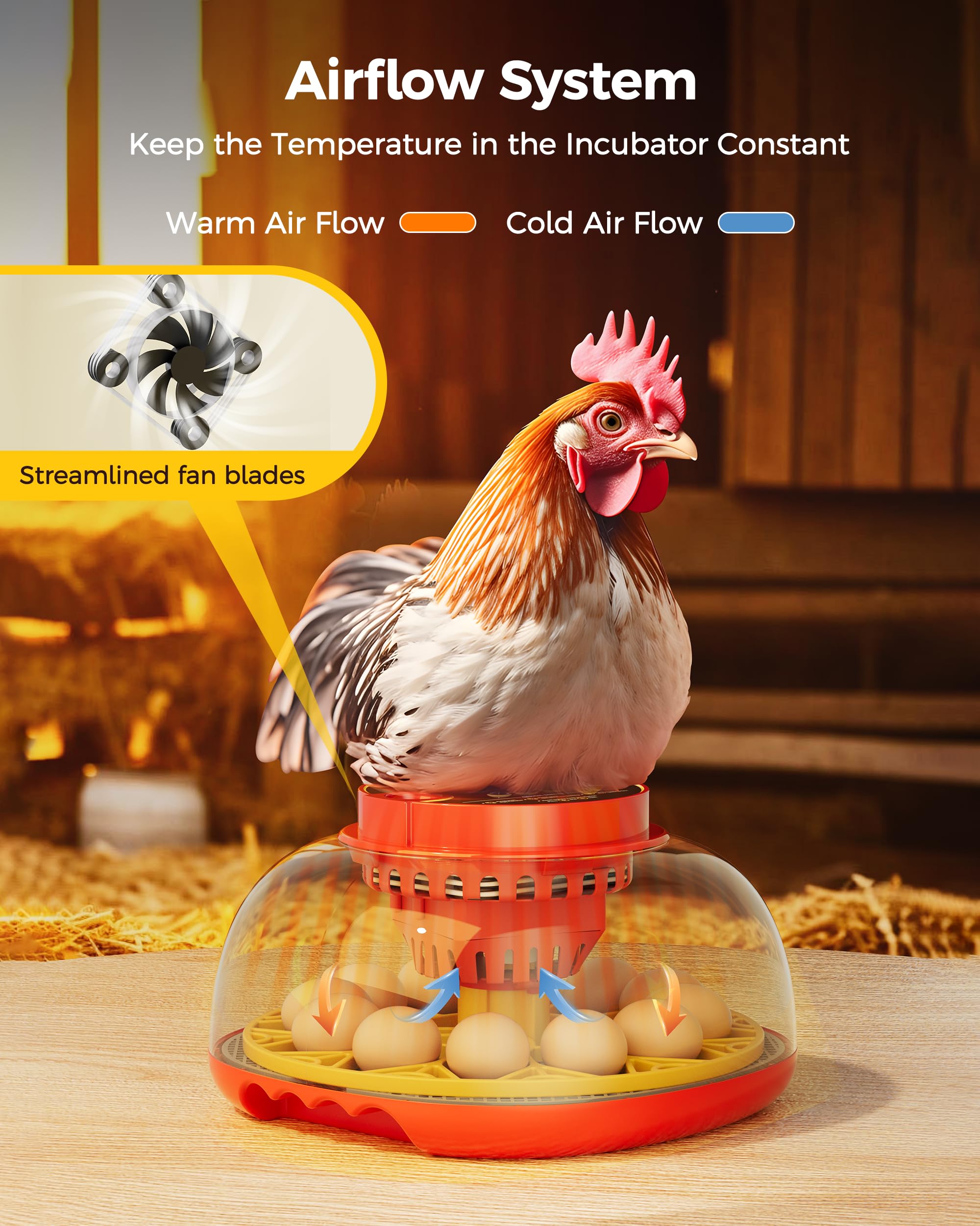 Besly incubator removable egg trays for easy cleaning and setup.