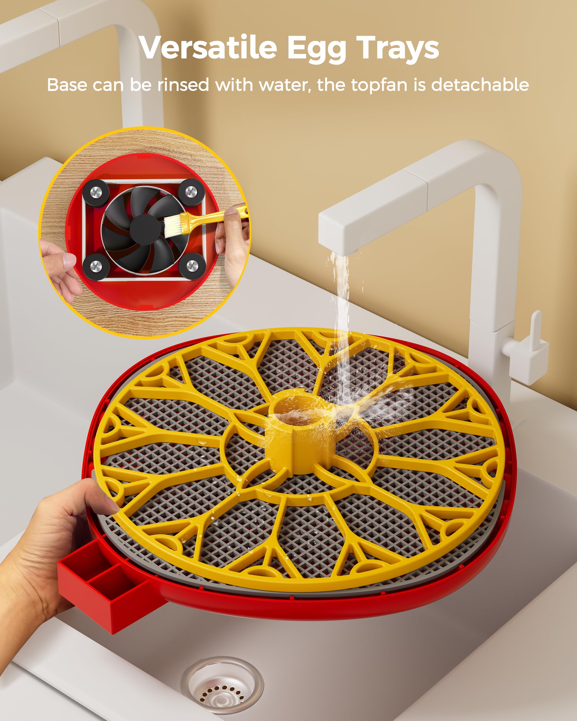 Besly incubator snap-clean modular design for quick cleaning after hatchlings.