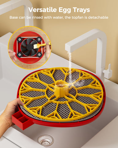 Besly incubator snap-clean modular design for quick cleaning after hatchlings.