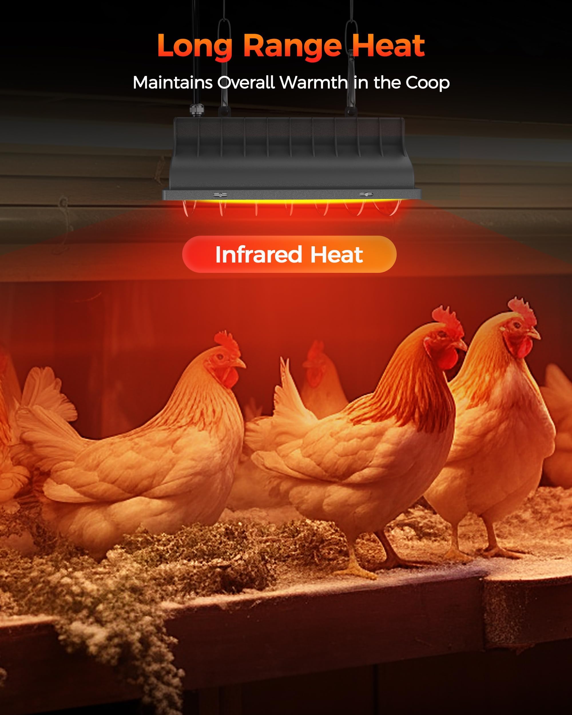 Besly poultry brooder setup using infrared warmth