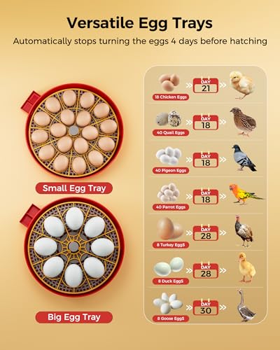 Besly temperature-control-display provides precise heat management for reliable hatching.