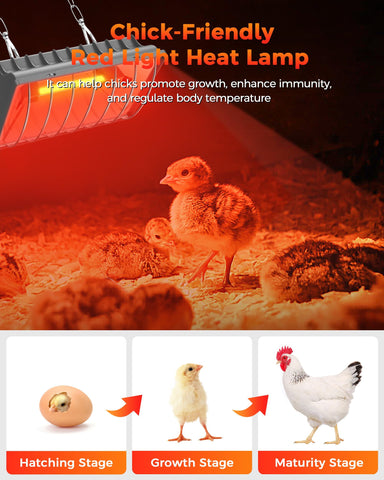 Besly waterproof outdoor heat lamp in a poultry pen