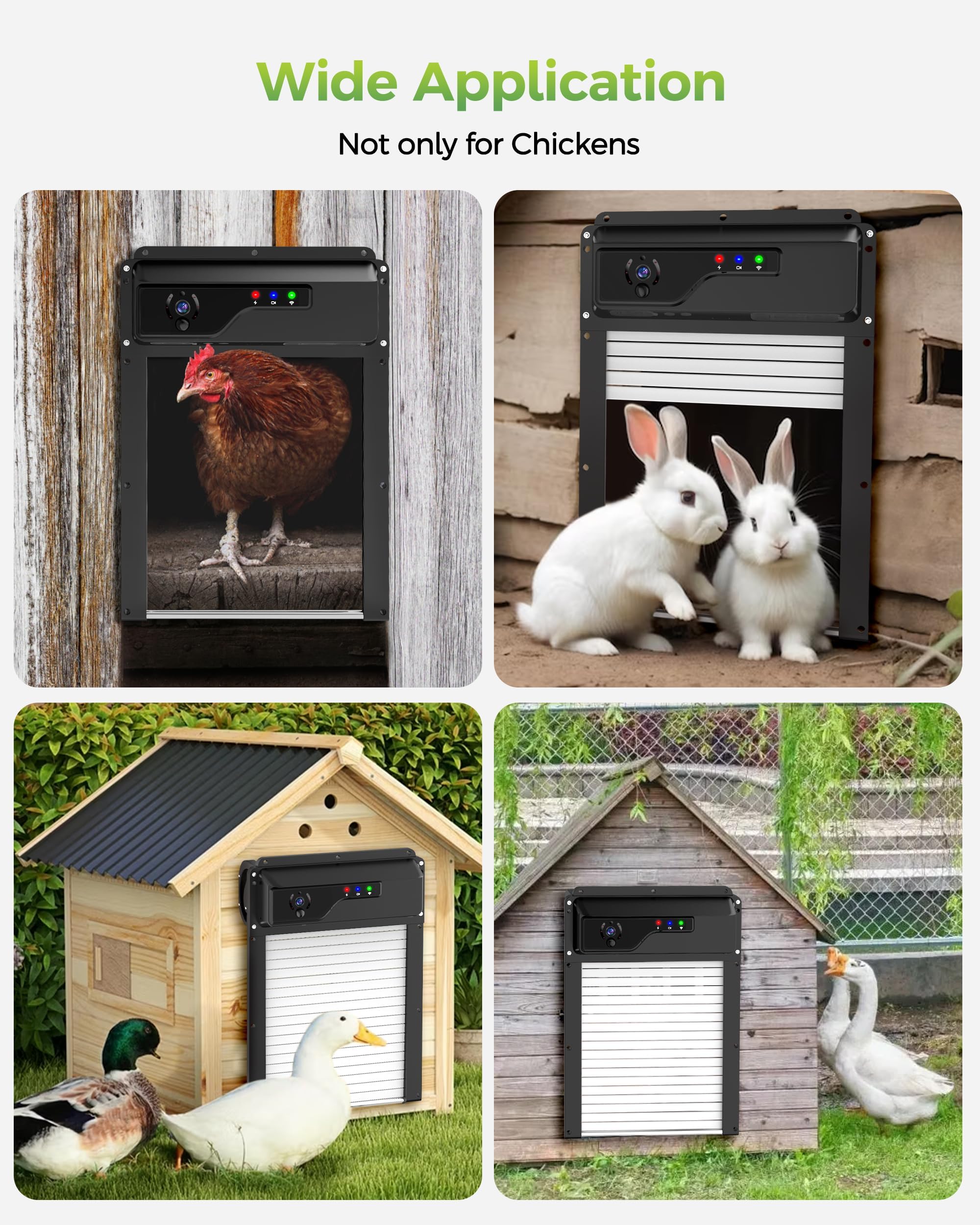 Besly weatherproof door withstands harsh conditions for year-round coop security