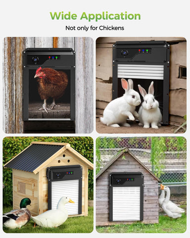 Besly weatherproof door withstands harsh conditions for year-round coop security