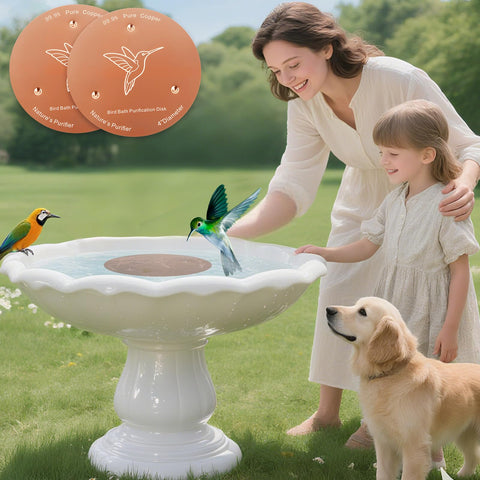 Bessny birdbath copper disc 2-pack ensures universal fit across bath setups