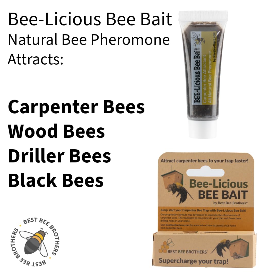 Best Bee Brothers carpenter bee trap setup helps you position lures effectively