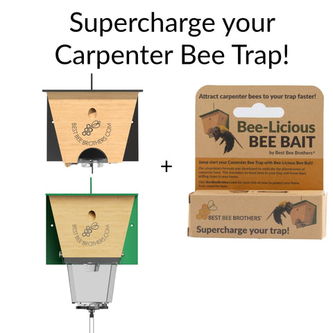Best Bee Brothers Bee-Licious bait enables quick, precise application