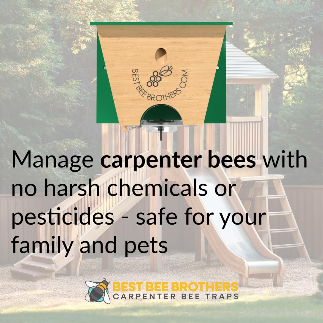 Close-up of the Best Bee Brothers Turbo Trap 2.0 bee vault showing secure capture.