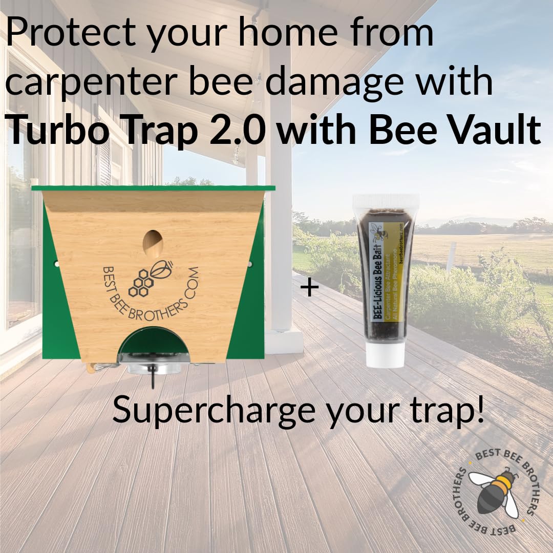 Detail of the four-chamber Turbo funnel in the Turbo Trap 2.0 for carpenter bees.