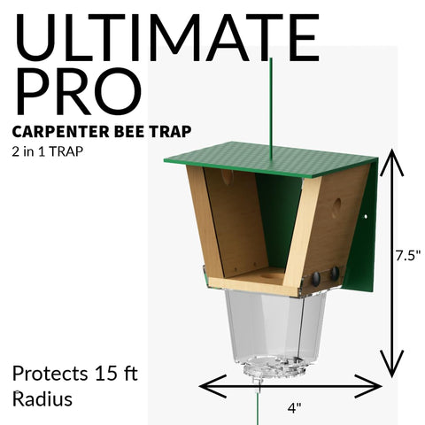 Trap placed at curbside showing 15ft radius protection around wood features