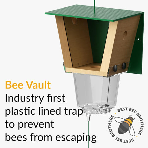 Bee Vault interior of Best Bee Brothers trap showing capacity