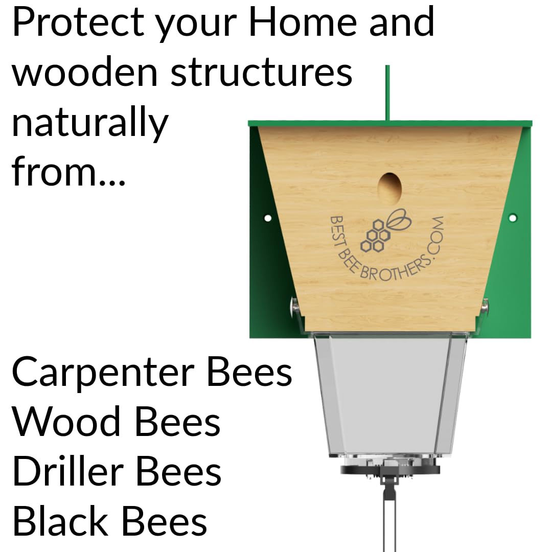 Durable build of Best Bee Brothers Ultimate Pro trap for outdoor use