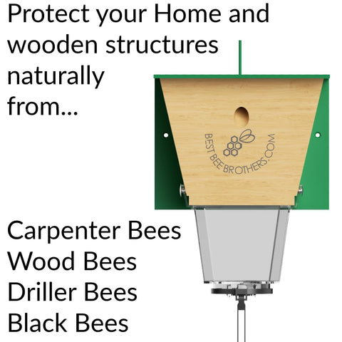 Durable build of Best Bee Brothers Ultimate Pro trap for outdoor use