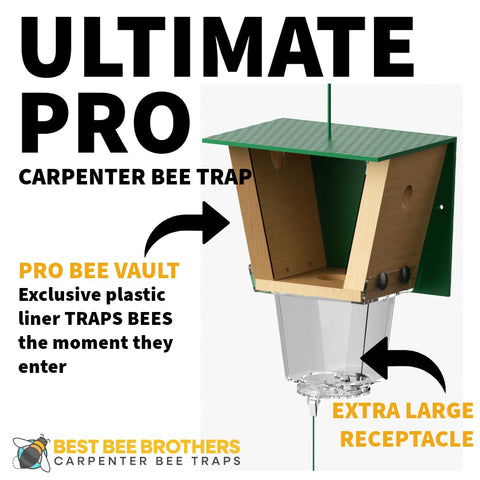 Spring-loaded door on Best Bee Brothers Carpenter Bee Trap for clean disposal