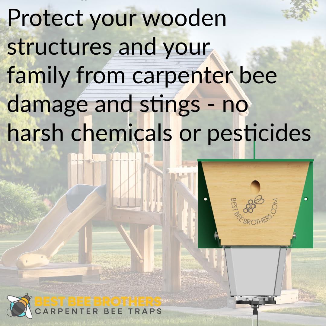 Hook and pull string for hanging disposal on Best Bee Brothers trap
