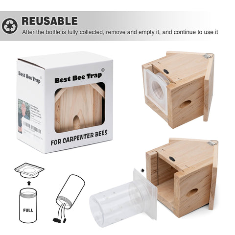 Best Bee Trap four-pack setup provides ongoing protection against wood-damaging carpenter bees