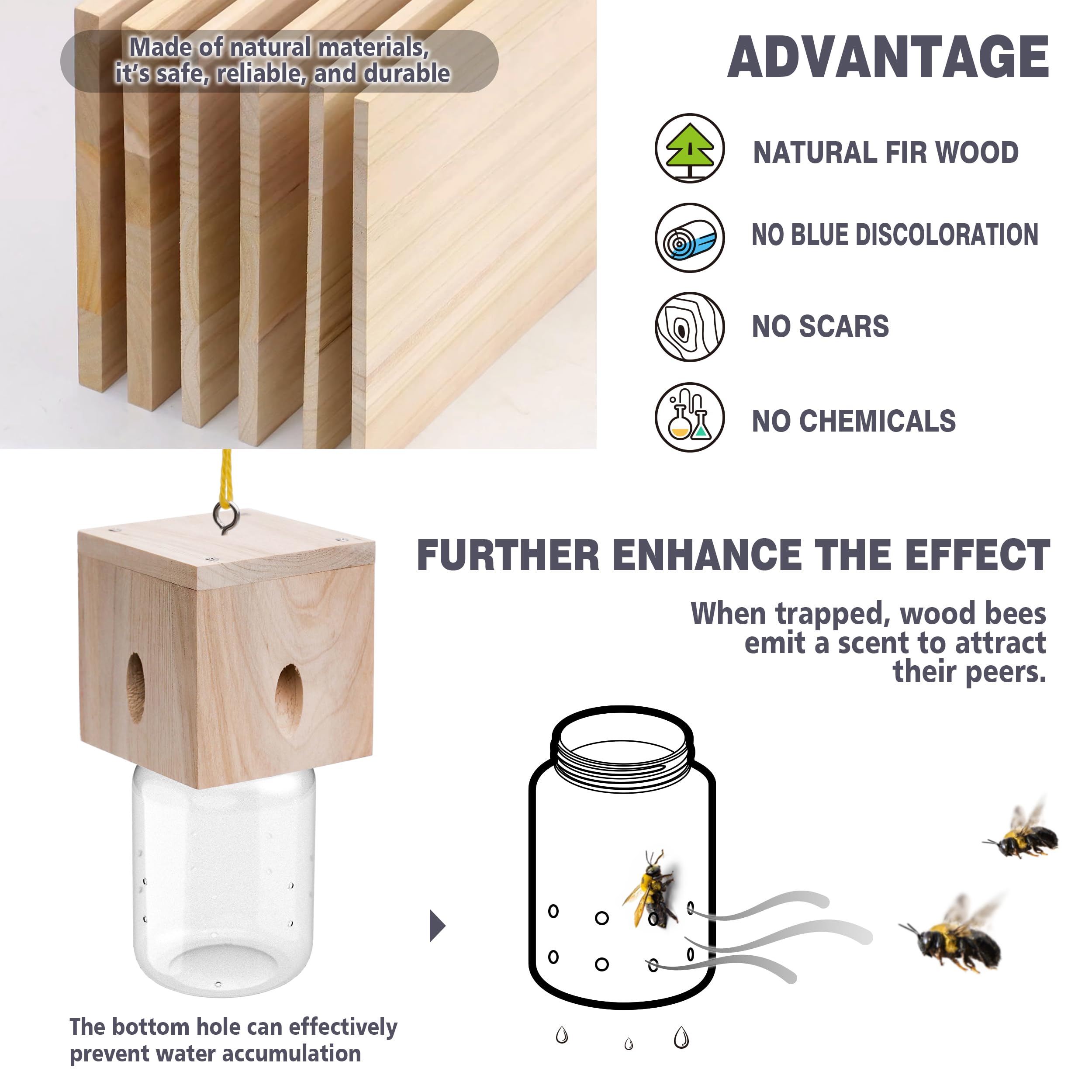 Best Bee Trap bait concept using dead carpenter bee cues to attract others.
