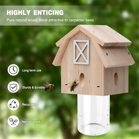 Best Bee Trap removable vault close-up shows easy access for maintenance.