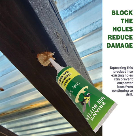 Best Bee Trap outdoor wood surface setup.
