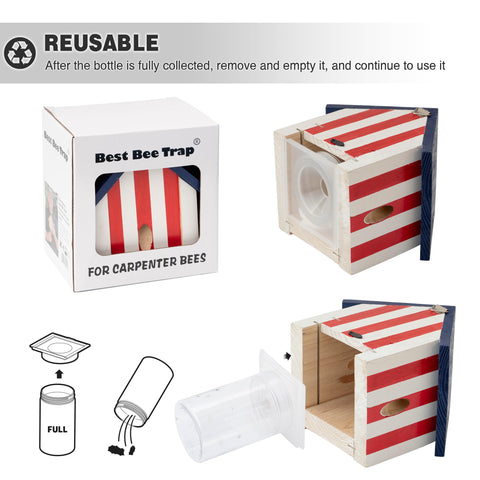 Best Bee Trap south-facing placement aligns with bee activity